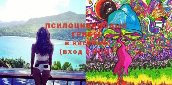 мяу мяу мука Арсеньев