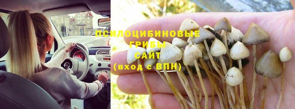 мяу мяу мука Арсеньев