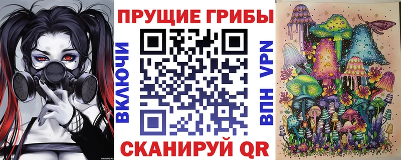 blacksprut ссылки  Калязин  Псилоцибиновые грибы MAGIC MUSHROOMS  наркота 